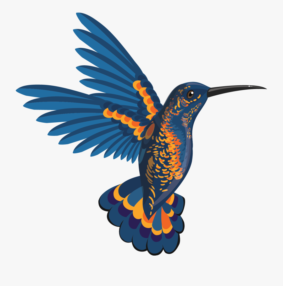 Bird In Flight Illustration, Transparent Clipart