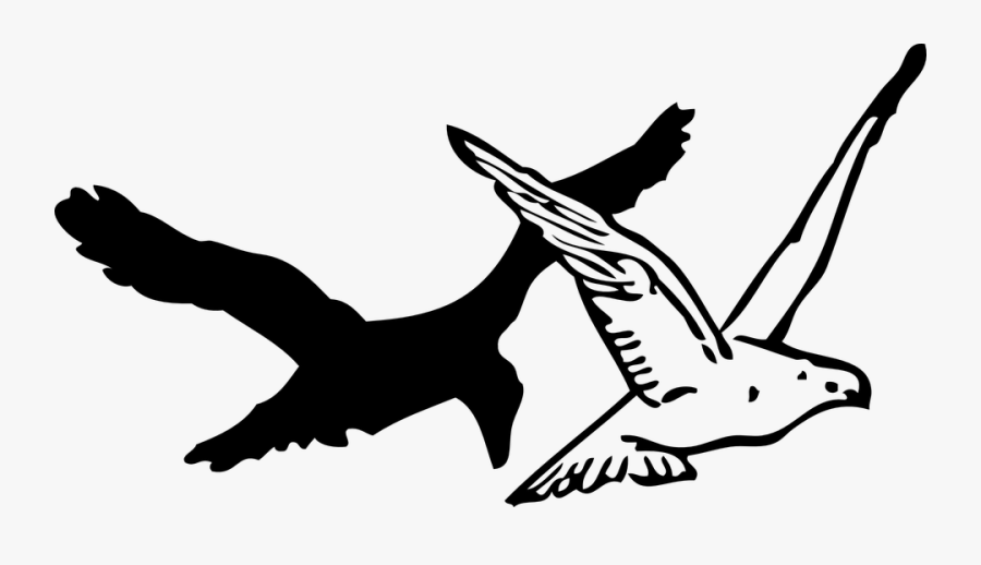 Flying, Birds, Black, White, Wings, Sky, Flight - Drawing Of Flying Crow, Transparent Clipart