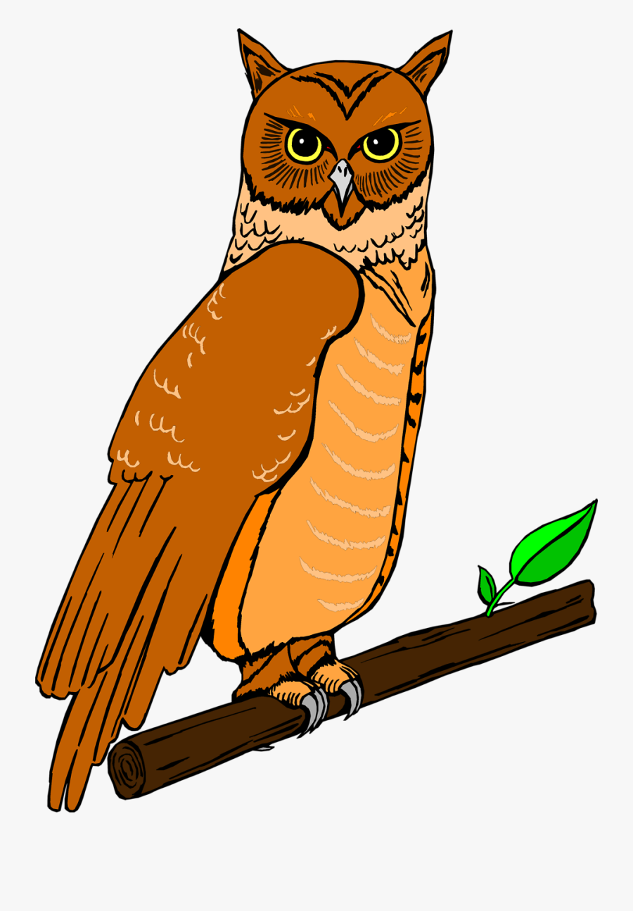 Clip Art Perched Owl - Owl Clip Art, Transparent Clipart