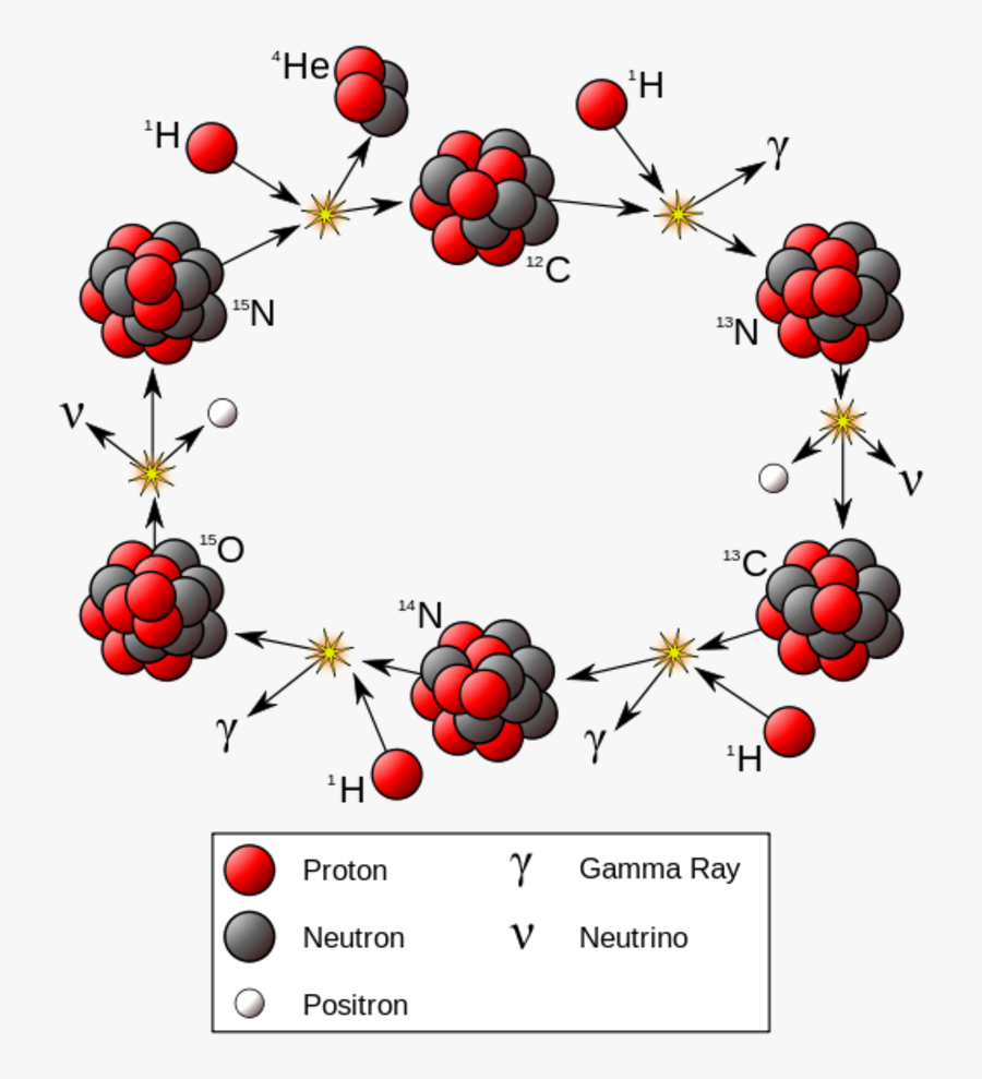 Cno-cycle - Cno Cycle, Transparent Clipart
