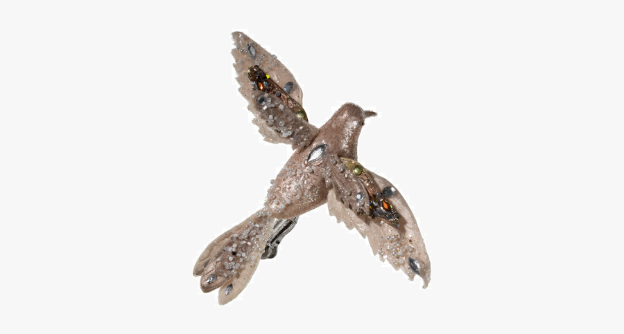 Red-tailed Hawk, Transparent Clipart