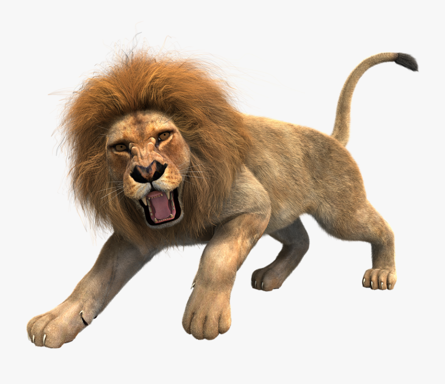 Lion Png, Transparent Clipart