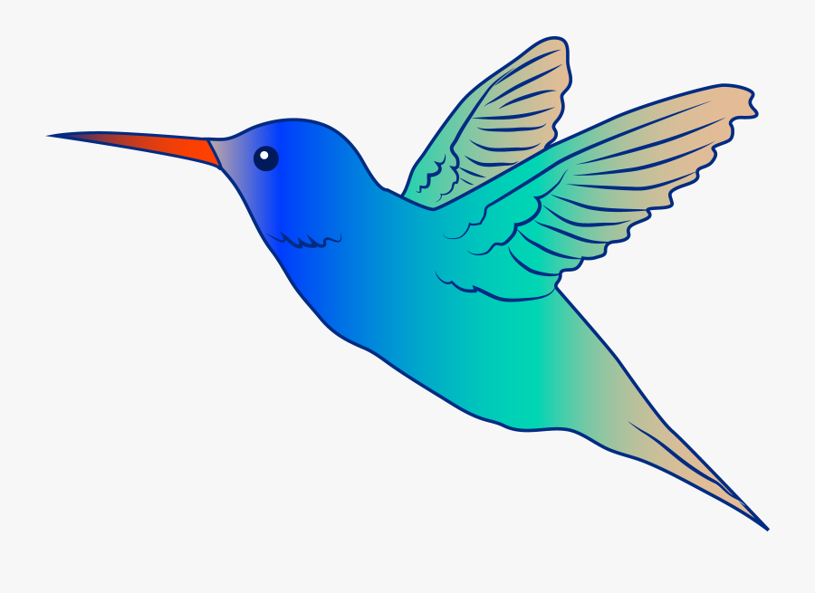 Transparent Bird Clip Art - Hummingbird, Transparent Clipart