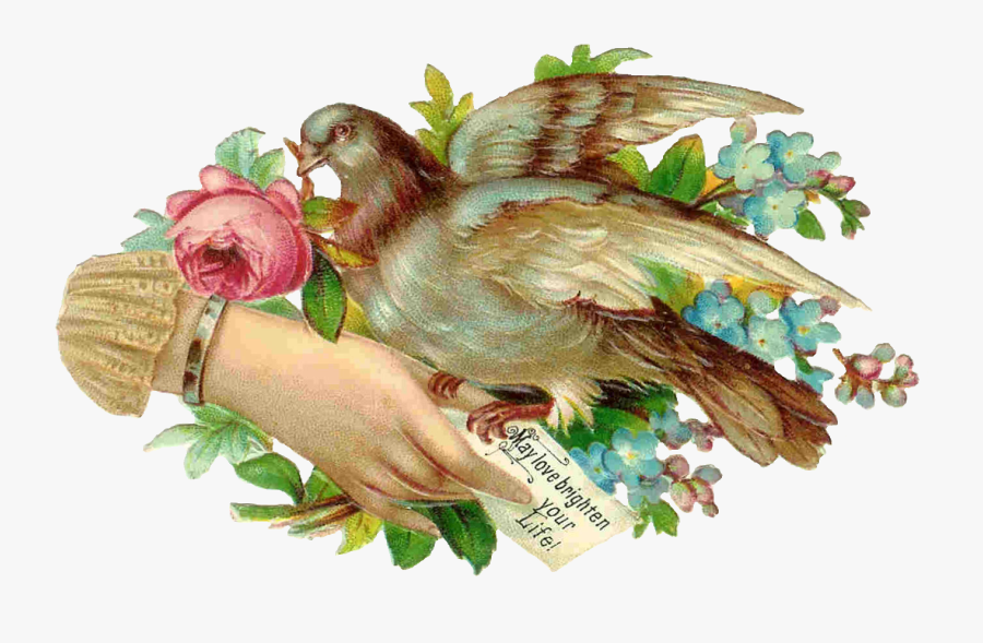 Clip Art, Transparent Clipart