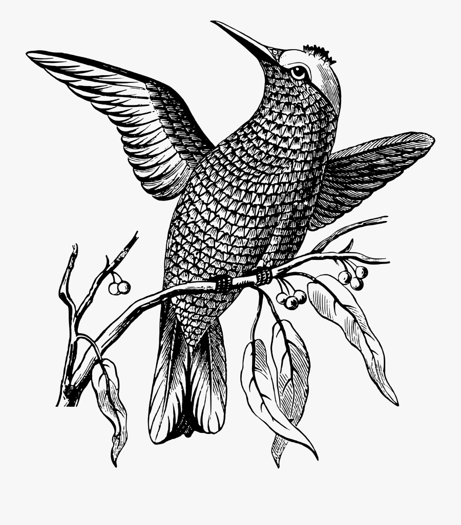 Perching Bird Clip Arts - Bird With Fish Scales, Transparent Clipart