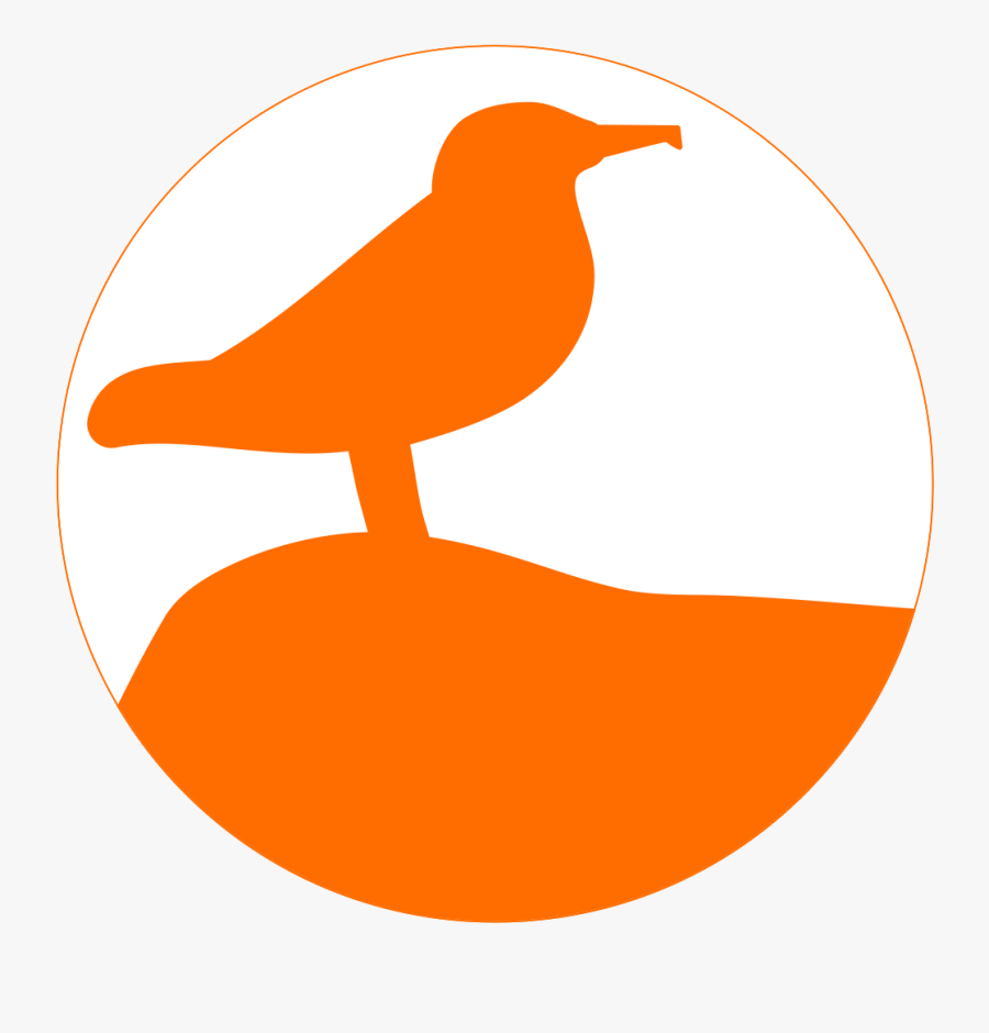 Robin, Transparent Clipart