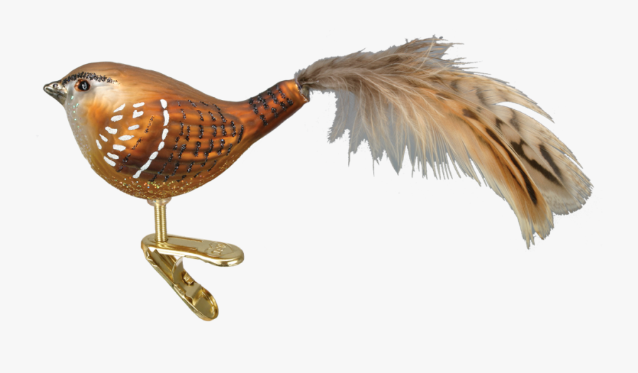 Glass Wren Bird Clip Ornament - Carolina Wren, Transparent Clipart