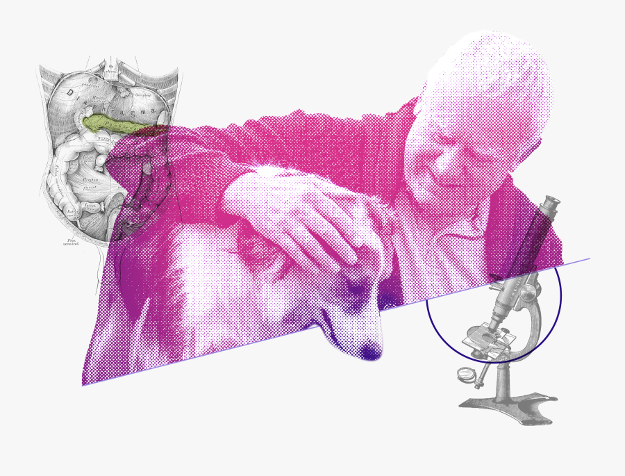 40th Wedding Anniversary Clip Art, Transparent Clipart