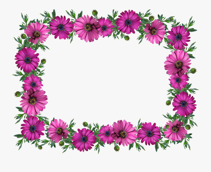 Frame, Border, Daisies, Decoration, Label, Cut Out - Kwiaty Gify Bez Tła, Transparent Clipart