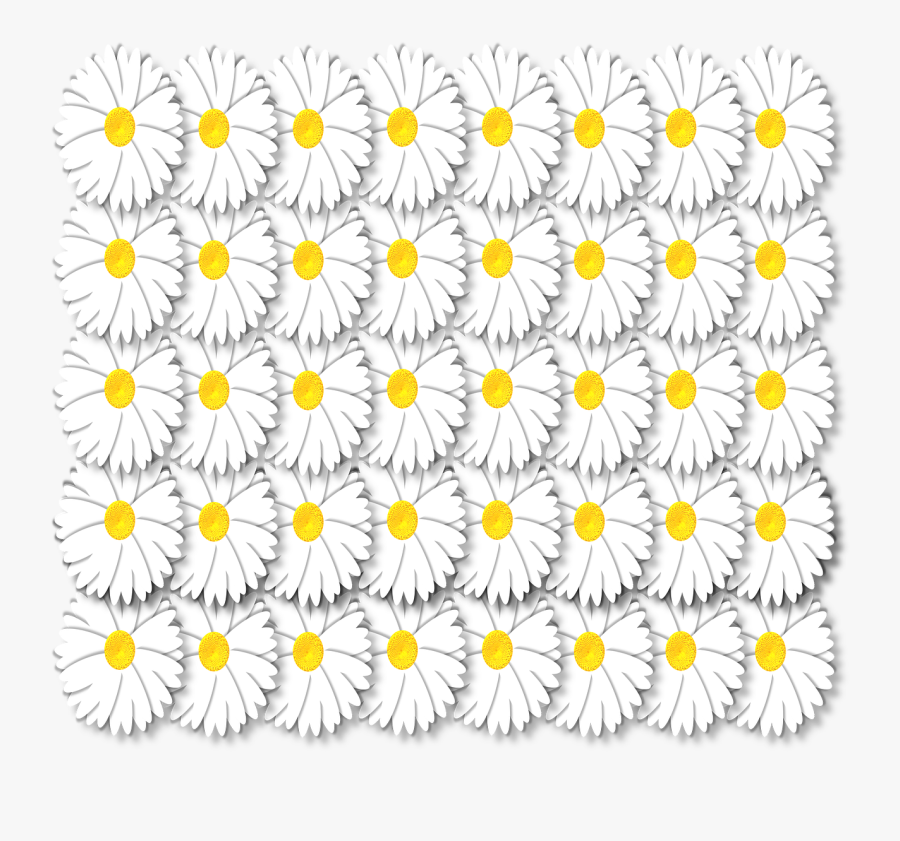 Artistic Daisy Daisies Free Picture - Daisy, Transparent Clipart
