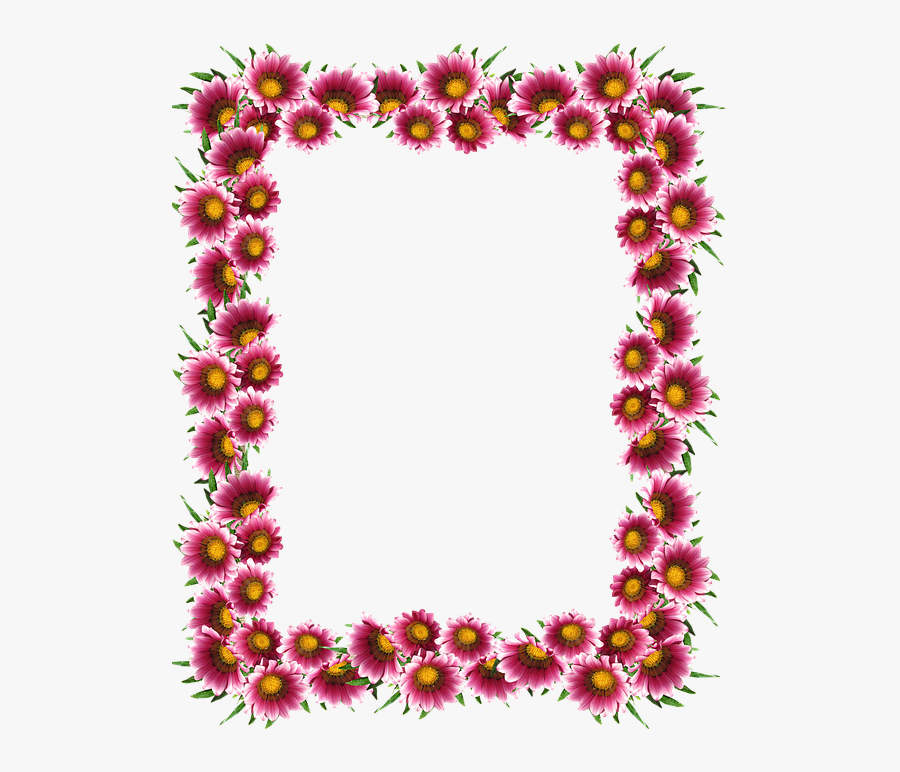 Frame, Border, Sun Daisies - Picture Frame, Transparent Clipart