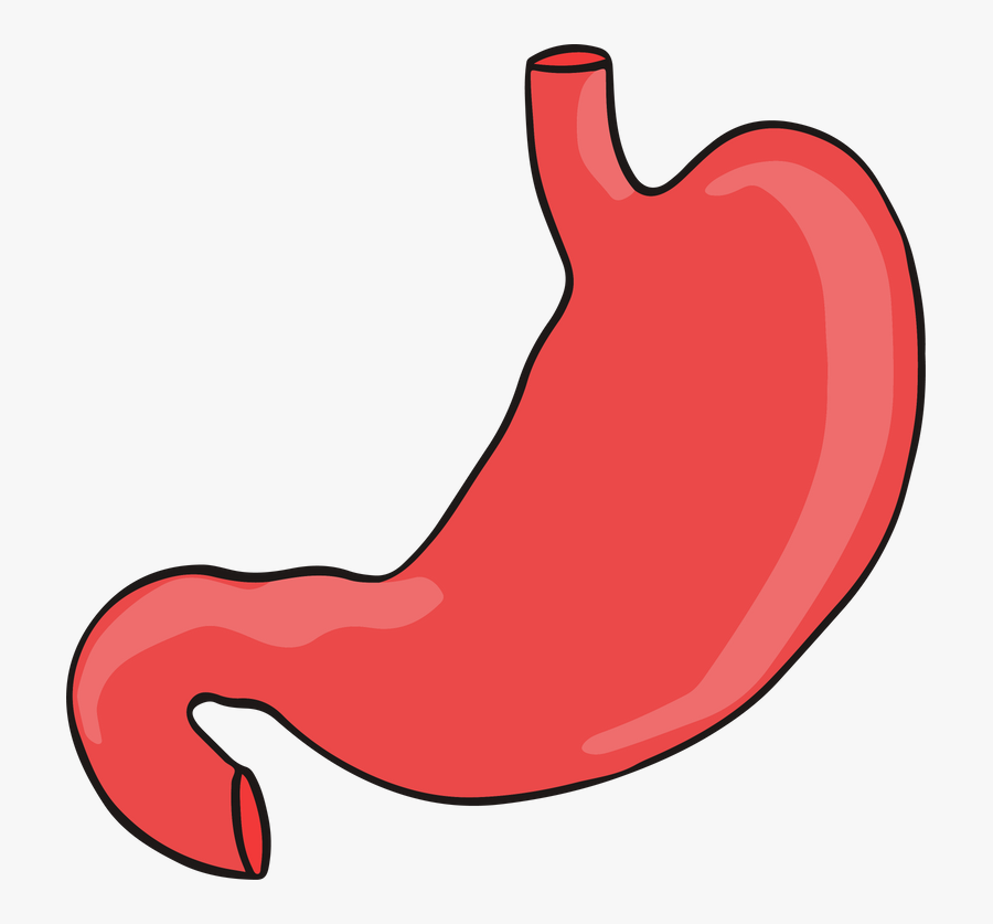 Clip Art, Transparent Clipart