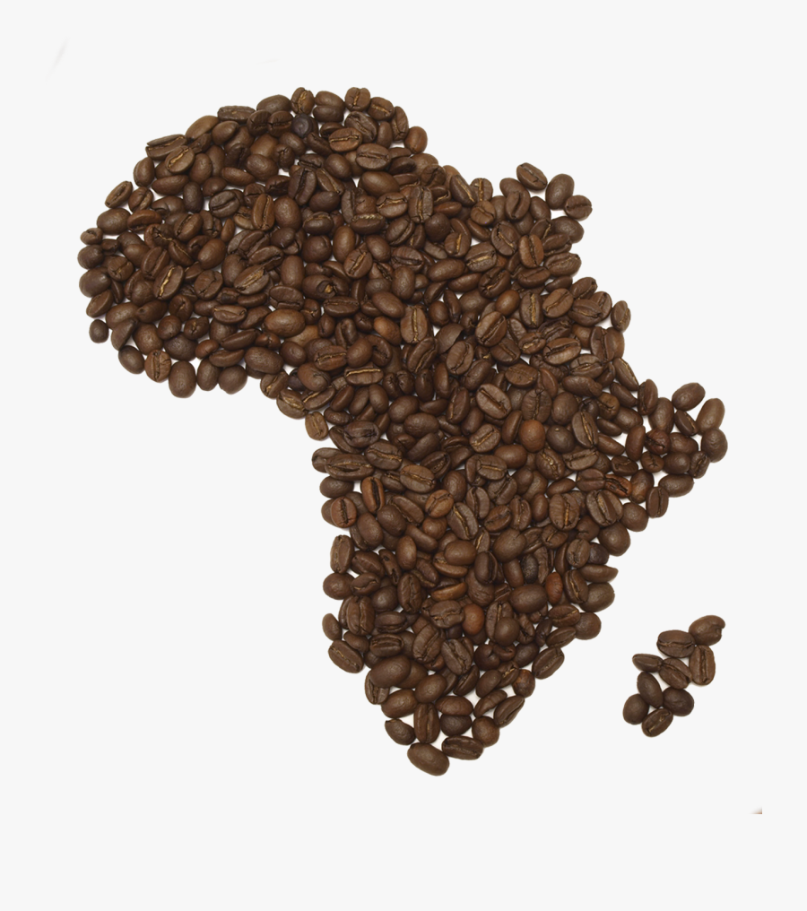 Transparent Png Coffee Beans - Coffee Bean Psd, Transparent Clipart