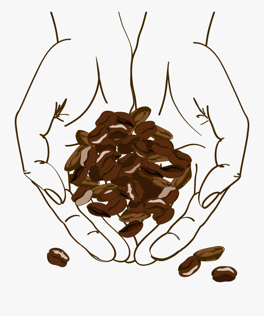 Clip Art Cafe Brown Holding Beans - Coffee Bean Illustration Png, Transparent Clipart