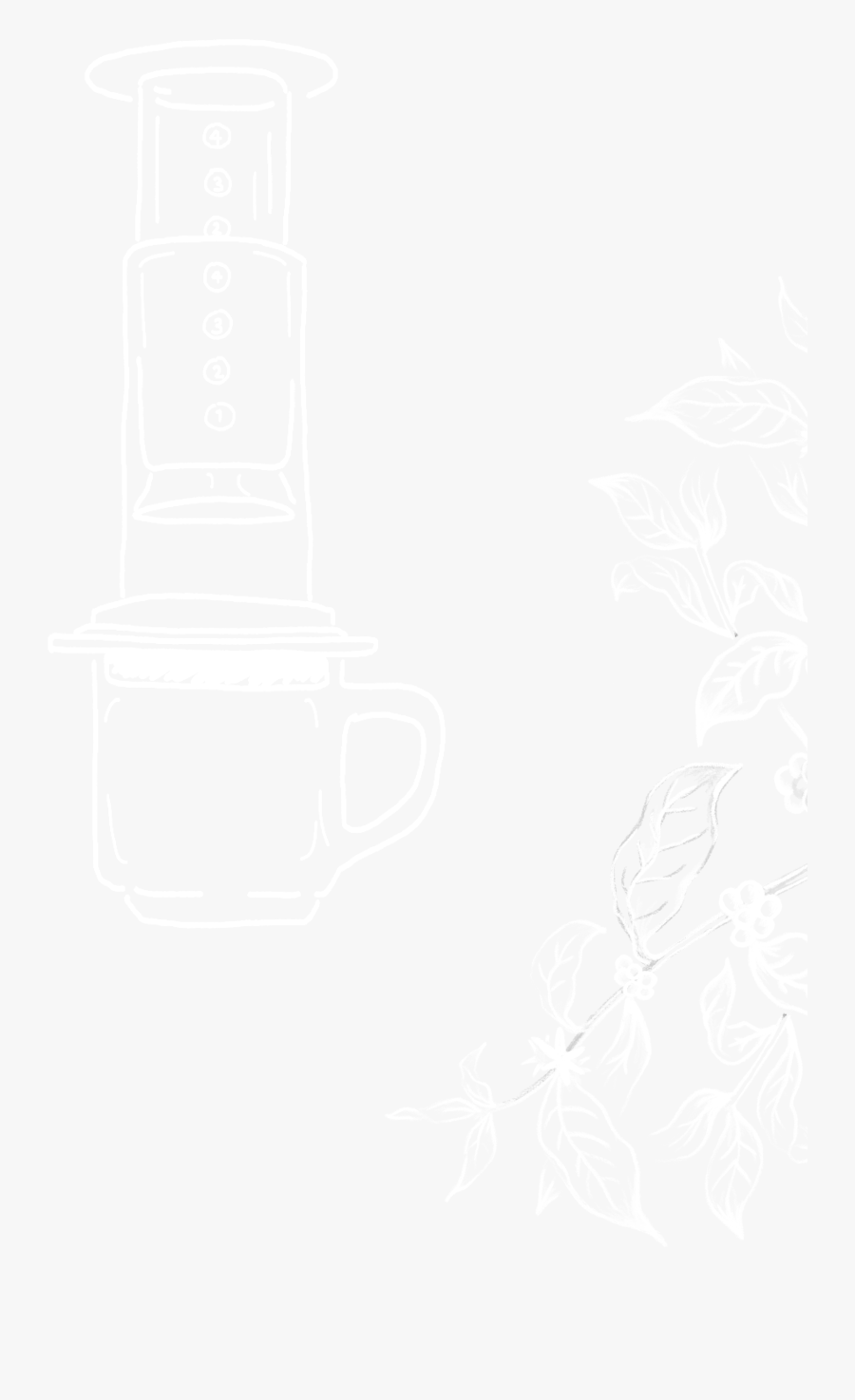 Sketch, Transparent Clipart