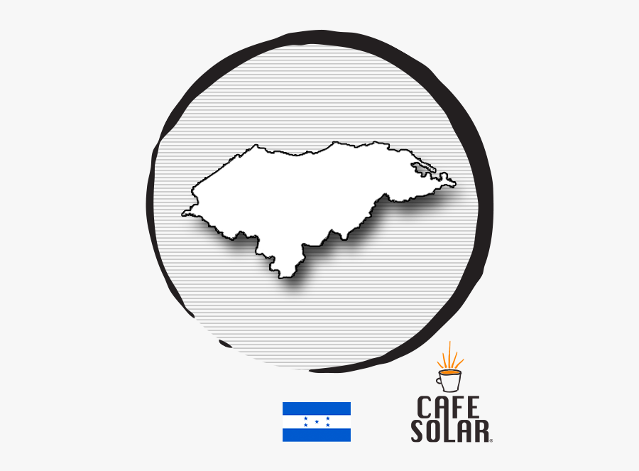 Honduras Green Coffee Beans Arabica - Illustration, Transparent Clipart