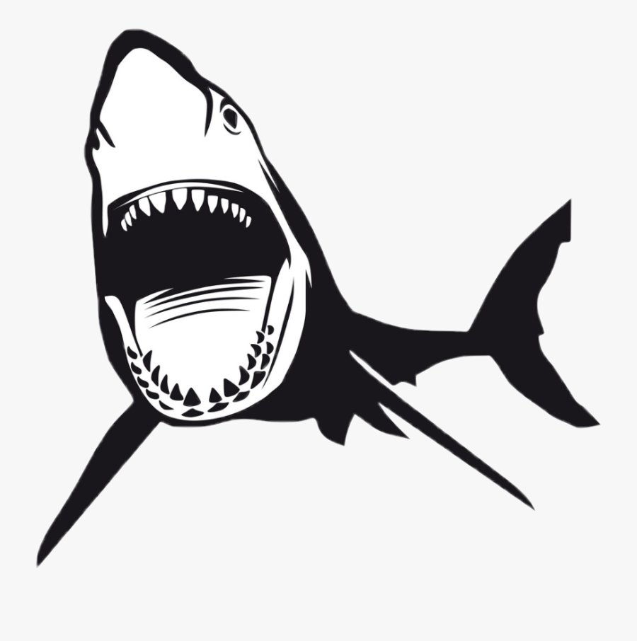 #shark #sharksticker #sharks #sharkattack #jaws @haelilulu - Shark Opening Mouth Vector, Transparent Clipart
