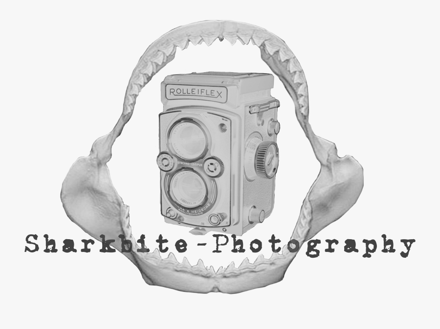 Jeff Loveness, Transparent Clipart