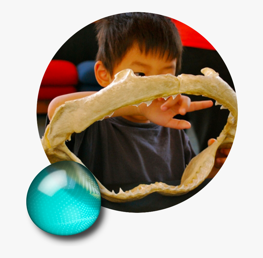 Boy, Transparent Clipart