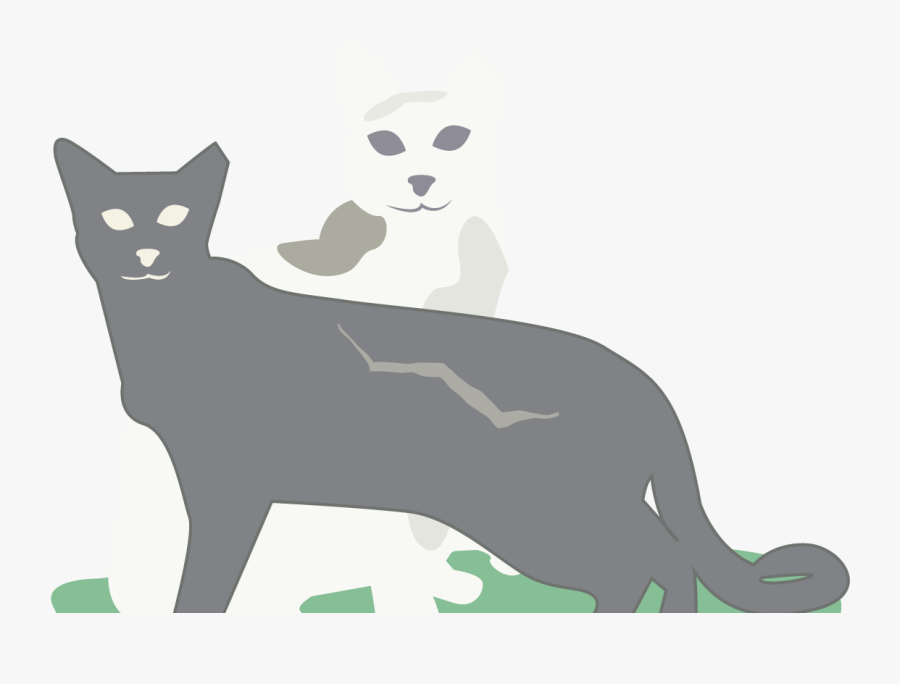 0218 Icehouse Discoverygreen Cat Ej3epv - Black Cat, Transparent Clipart