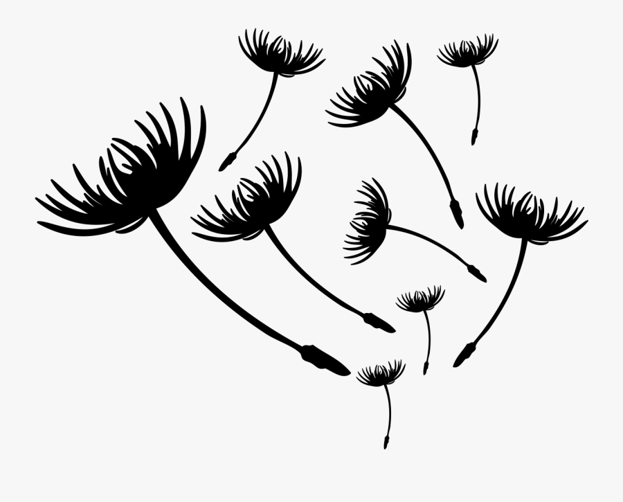 Dandelion Png, Transparent Clipart