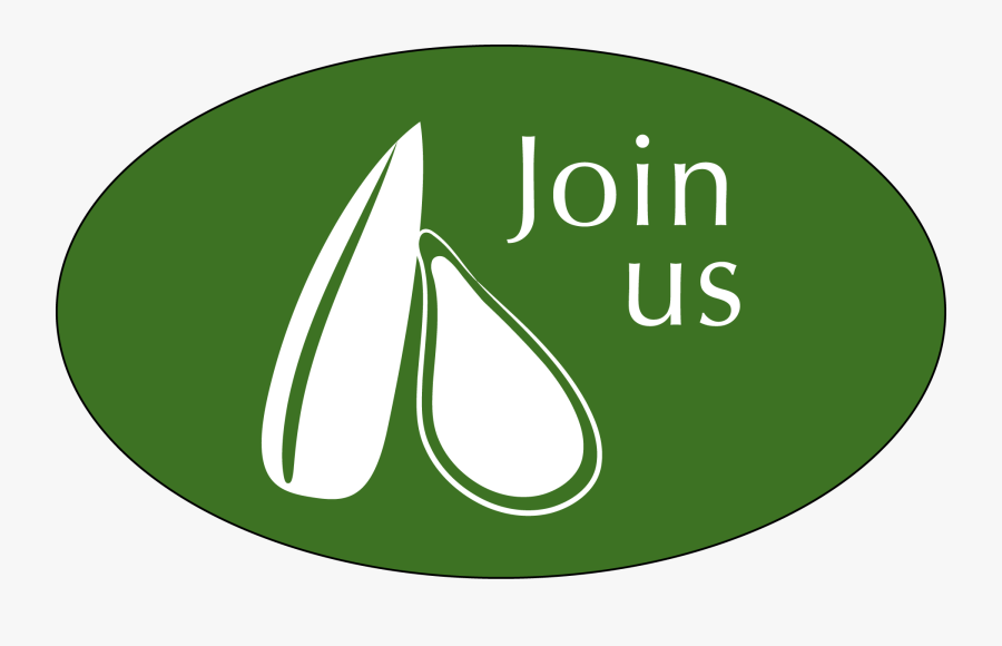 Graphic Design, Transparent Clipart