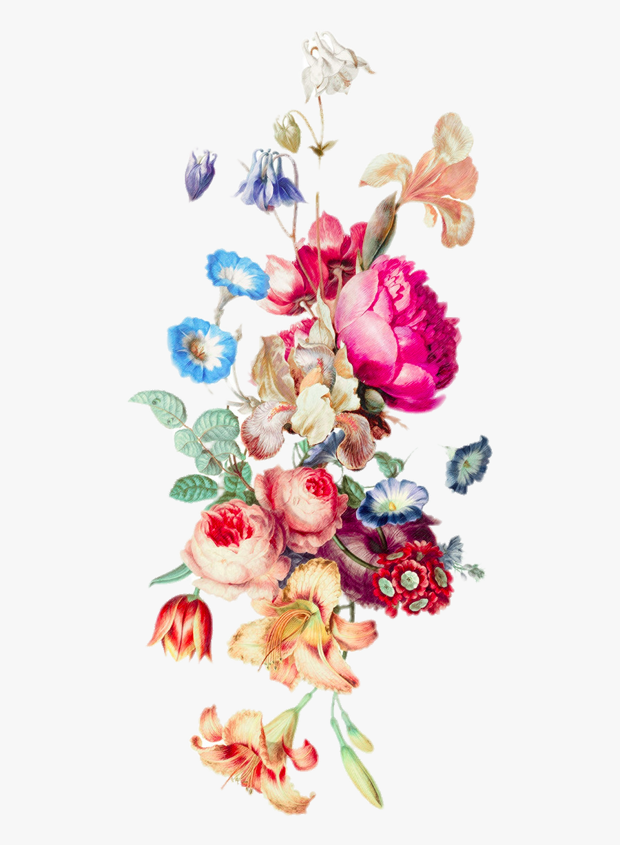 Iphone 6 Plus Floral Design Cut Flowers Flower Bouquet - Transparent Flower Vine Png, Transparent Clipart
