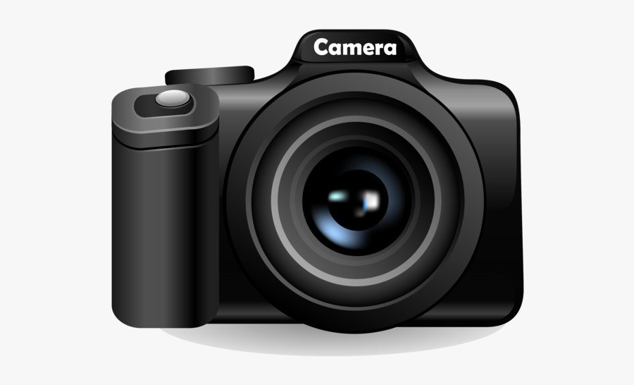 Vector, Transparent Clipart