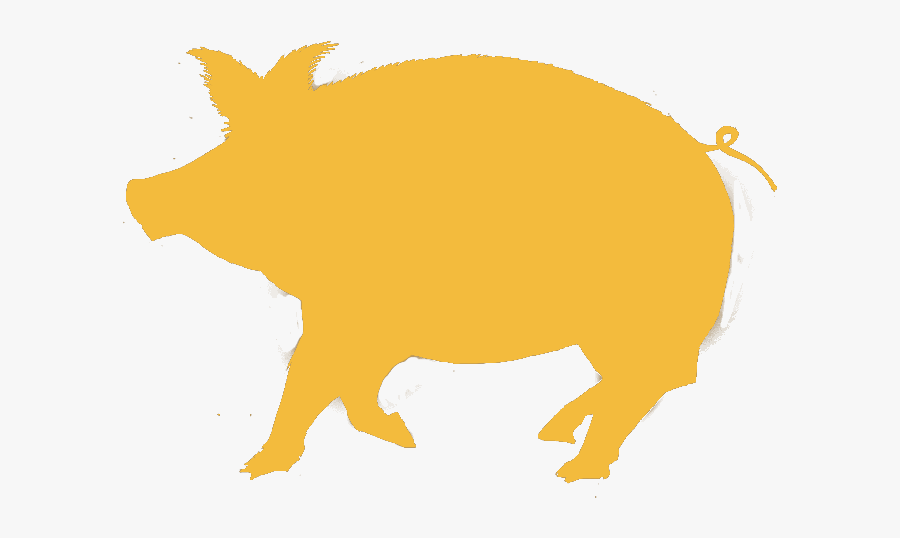 Boar, Transparent Clipart