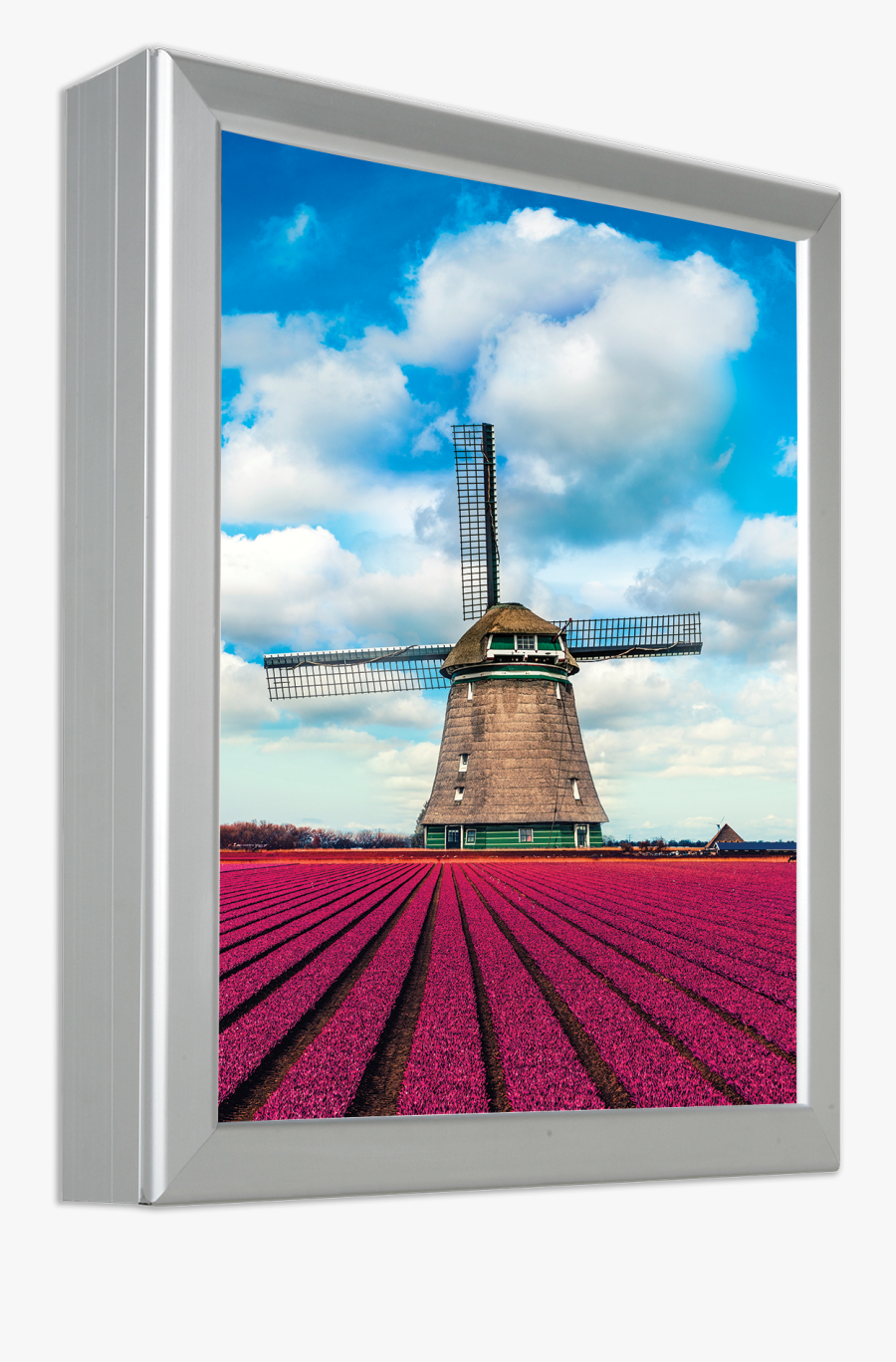 Front Access Standard Light Box - Tulip Field In The Netherlands, Transparent Clipart