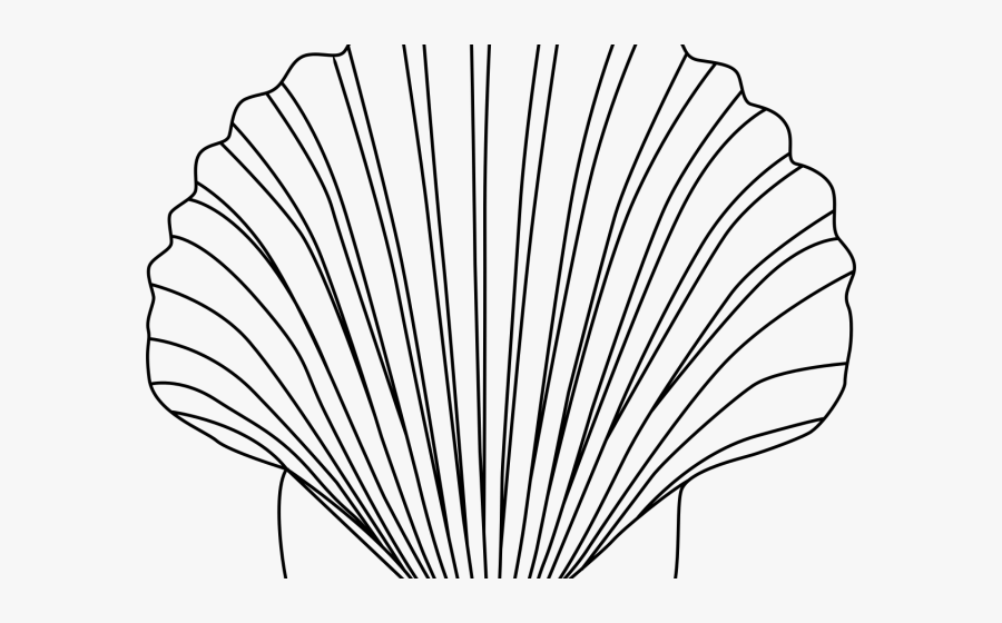 Free Seashell Clipart Black And White, Transparent Clipart