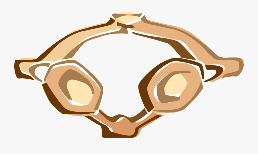 Transparent Human Bone Clipart, Transparent Clipart