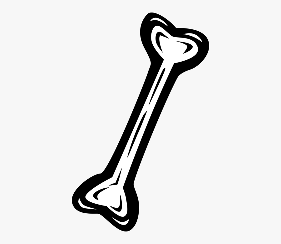 Vector Illustration Of Human Femur Bone - Osseina E Sali Minerali, Transparent Clipart