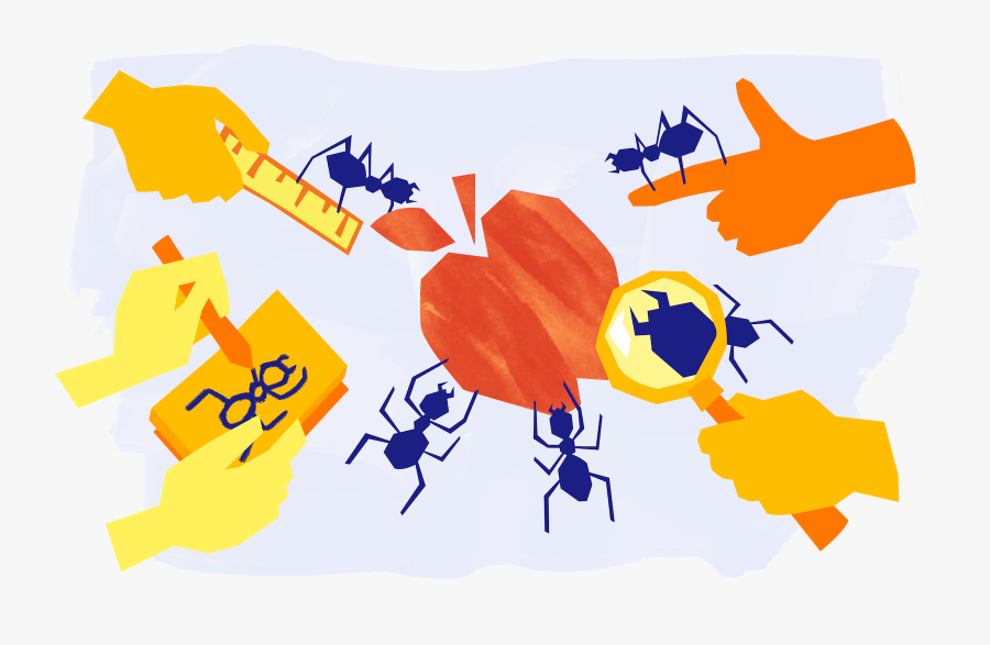 Illustration, Transparent Clipart