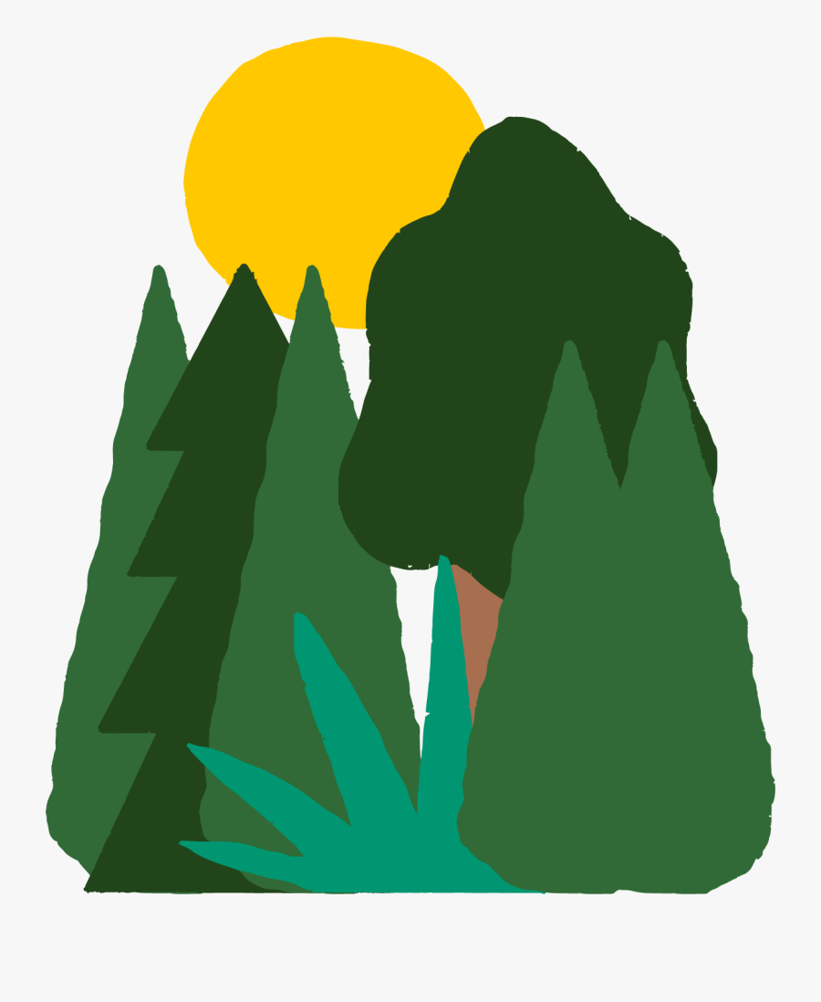 Camping, Transparent Clipart