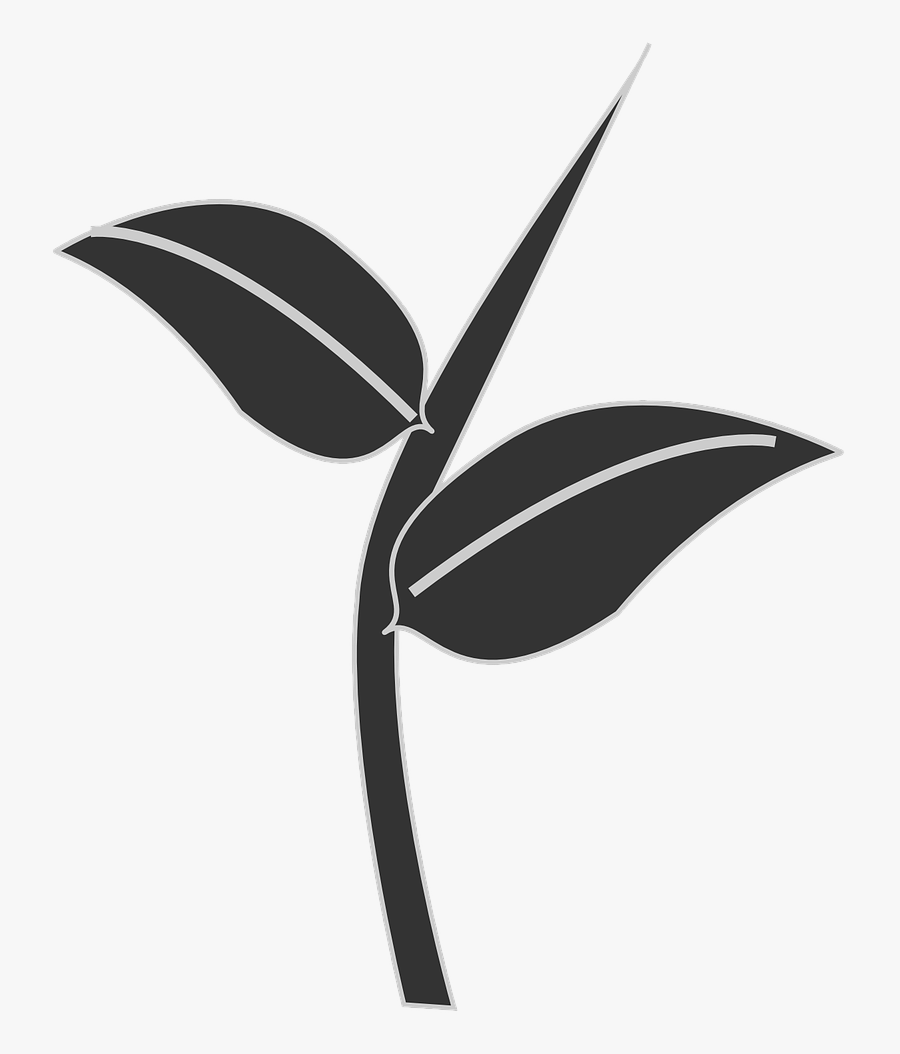 Transparent Plant Stem Png - Plant Silhouette Png, Transparent Clipart