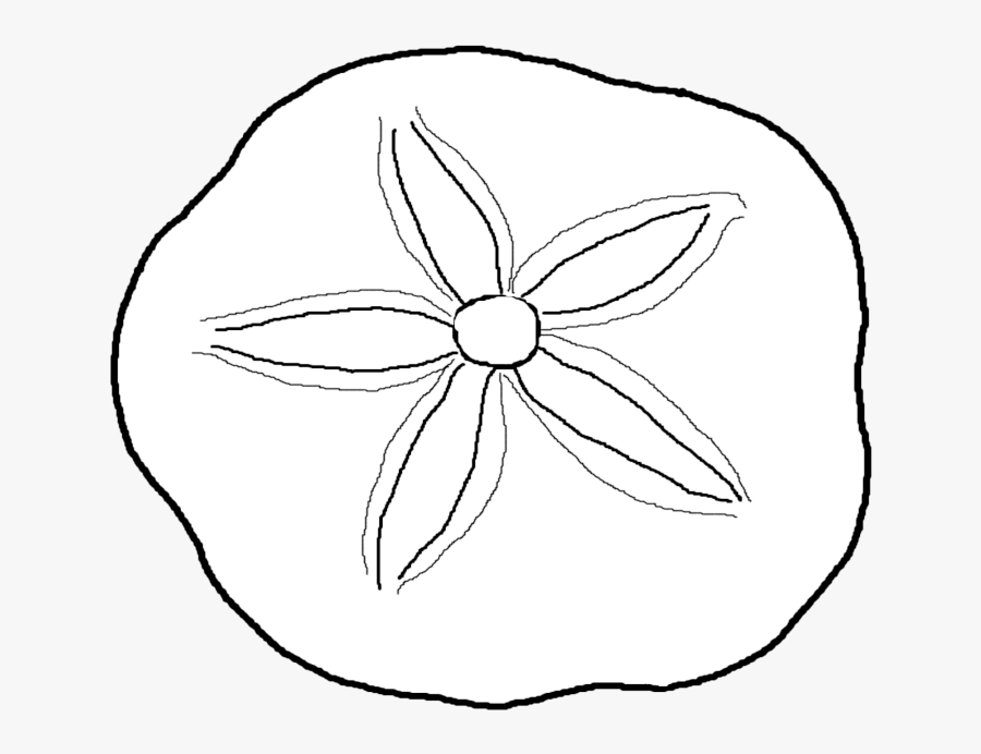 Coloring Pages Sea Shells - Seashell Coloring Page, Transparent Clipart