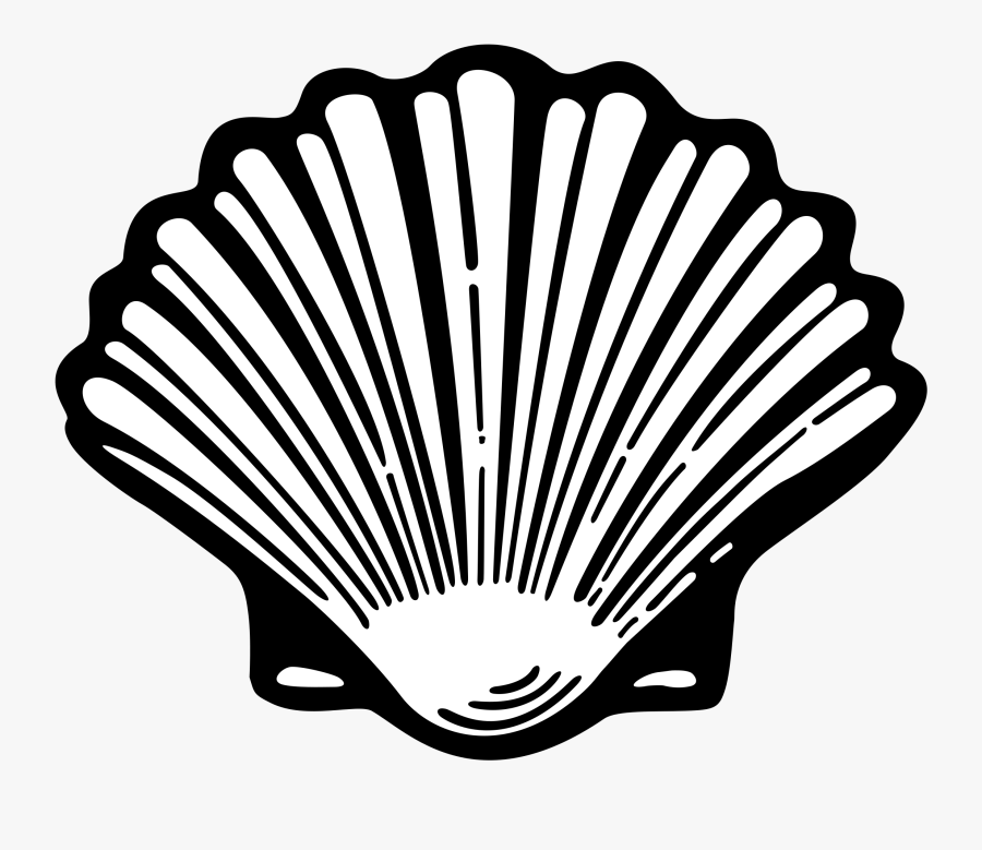 Shell Transparent Vector - Shell Logo Evolution, Transparent Clipart