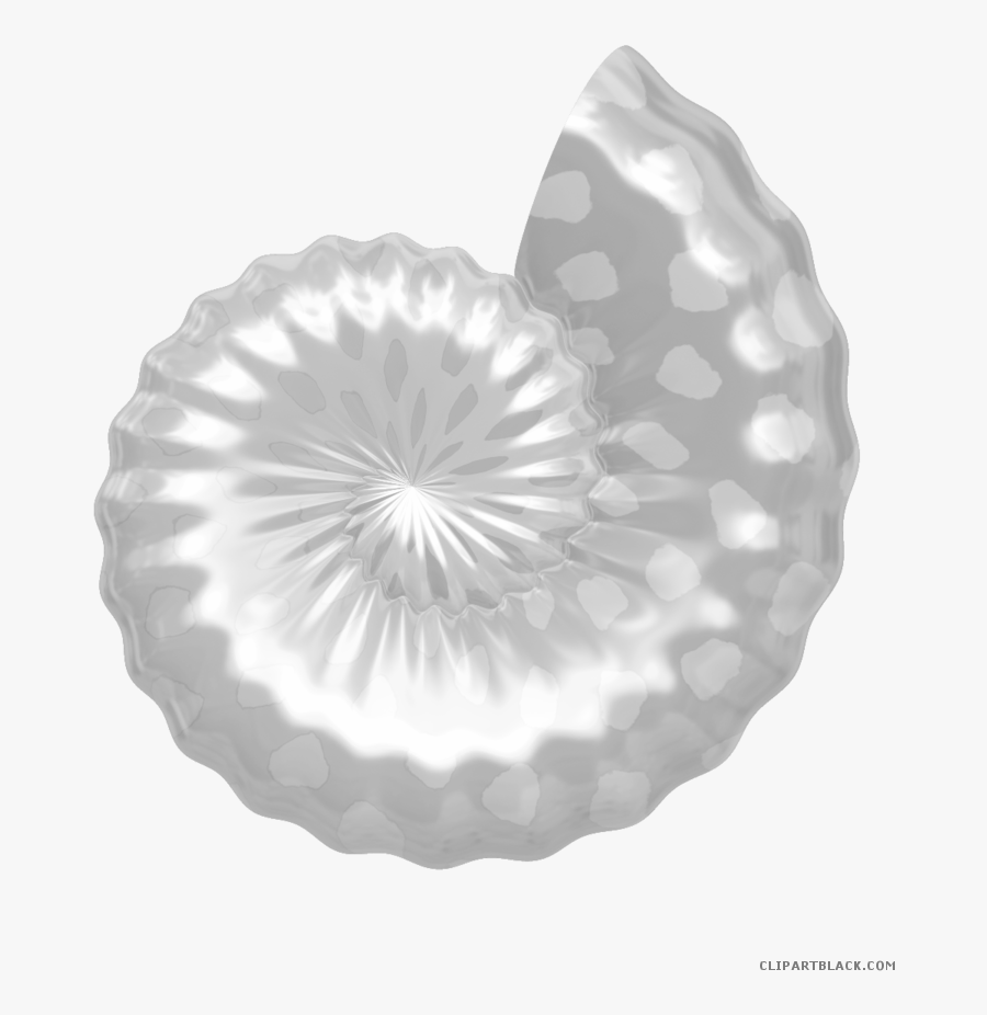 Transparent Seashell Clipart Transparent - Sea Cartoon Transparent Shells, Transparent Clipart