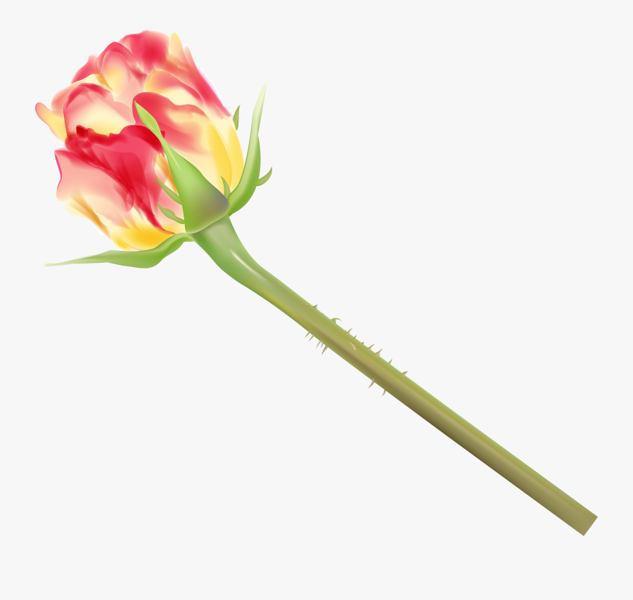 Yellow And Red Rose Bud Png Clipart Image - Garden Roses, Transparent Clipart