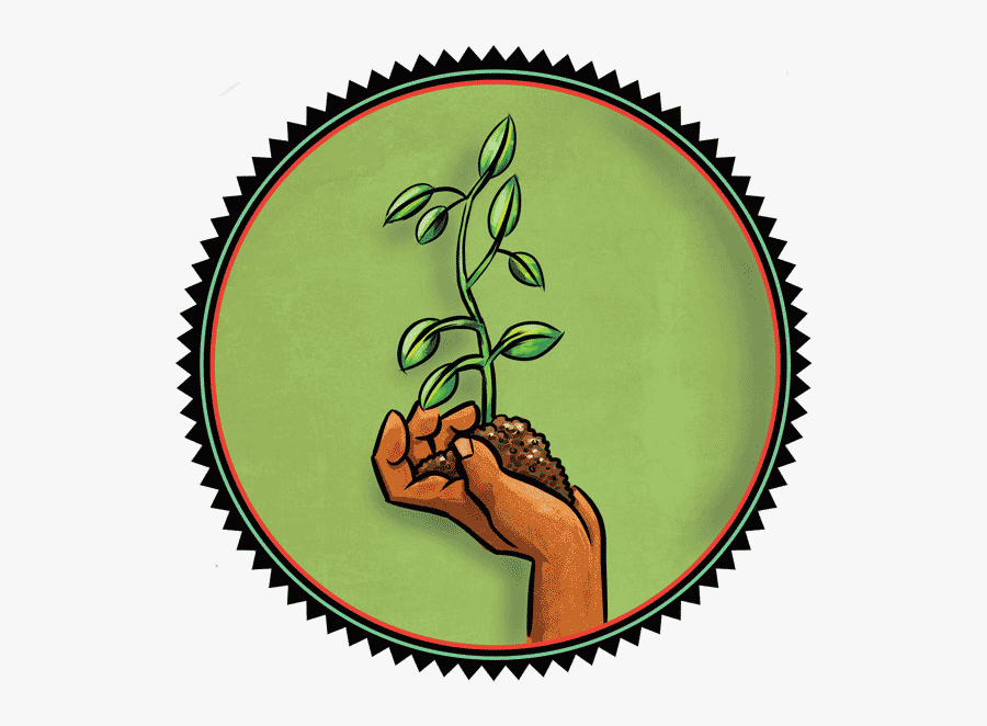 Summer Reading Image, Hand Holding Plant, Transparent Clipart