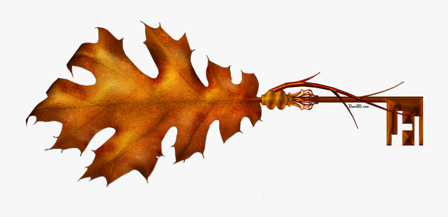 Autumn, Transparent Clipart