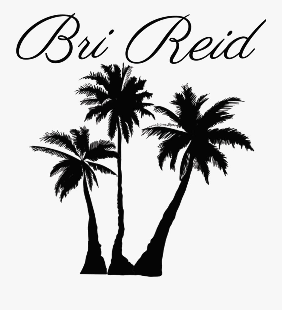 Clip Art Portable Network Graphics Palm Trees Coconut - Palm Tree Transparent Background, Transparent Clipart