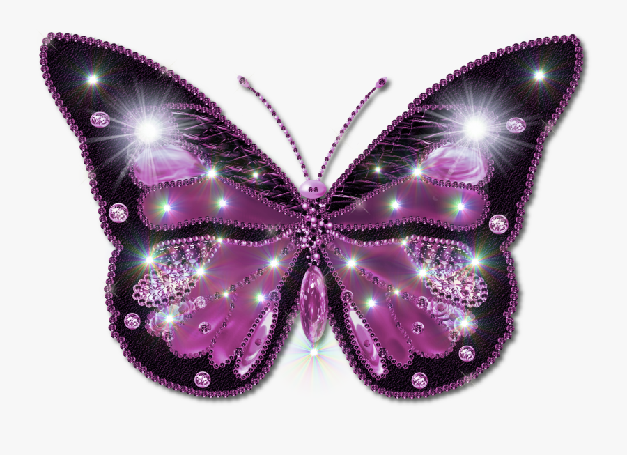 Beautiful Butterfly Image Download, Transparent Clipart