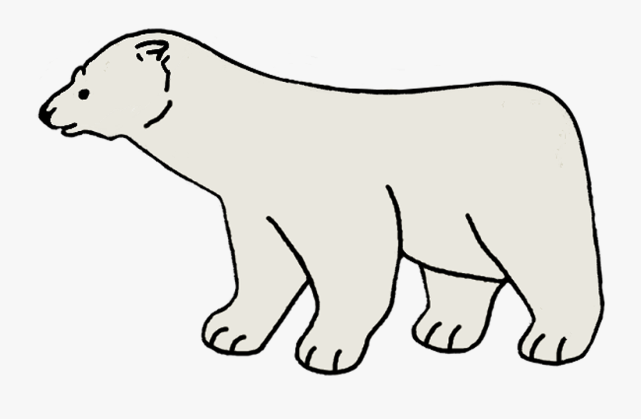 Tekening Polar Bear Transparent, Transparent Clipart