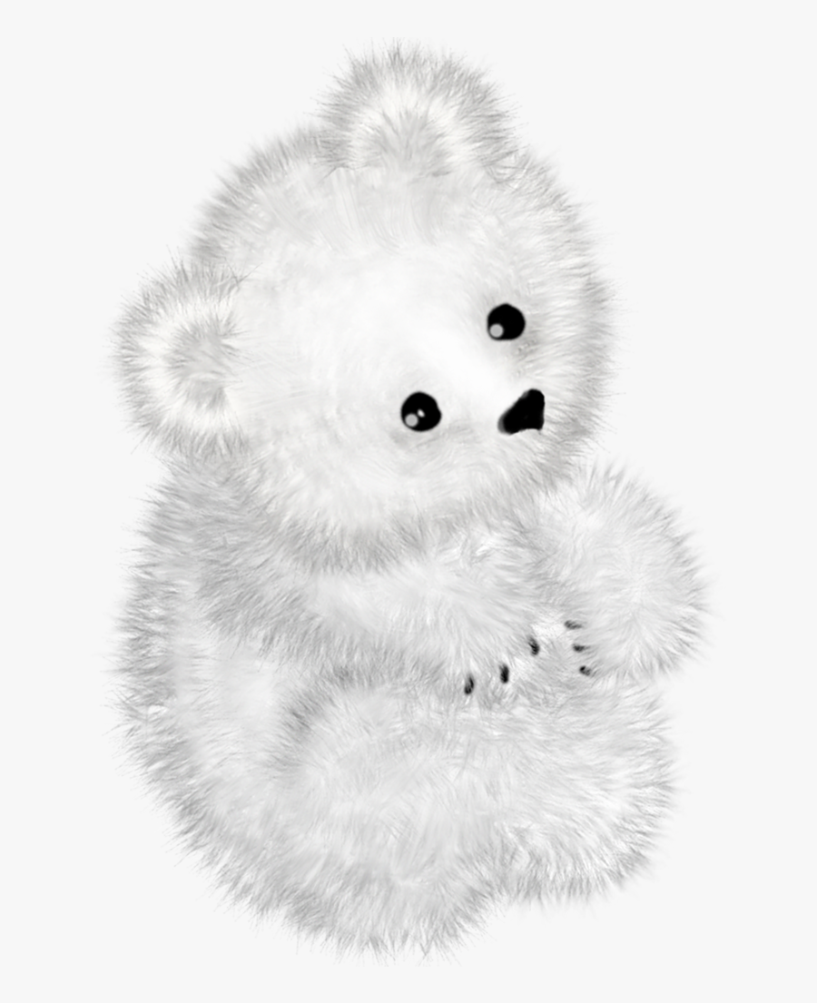 Bear, Transparent Clipart