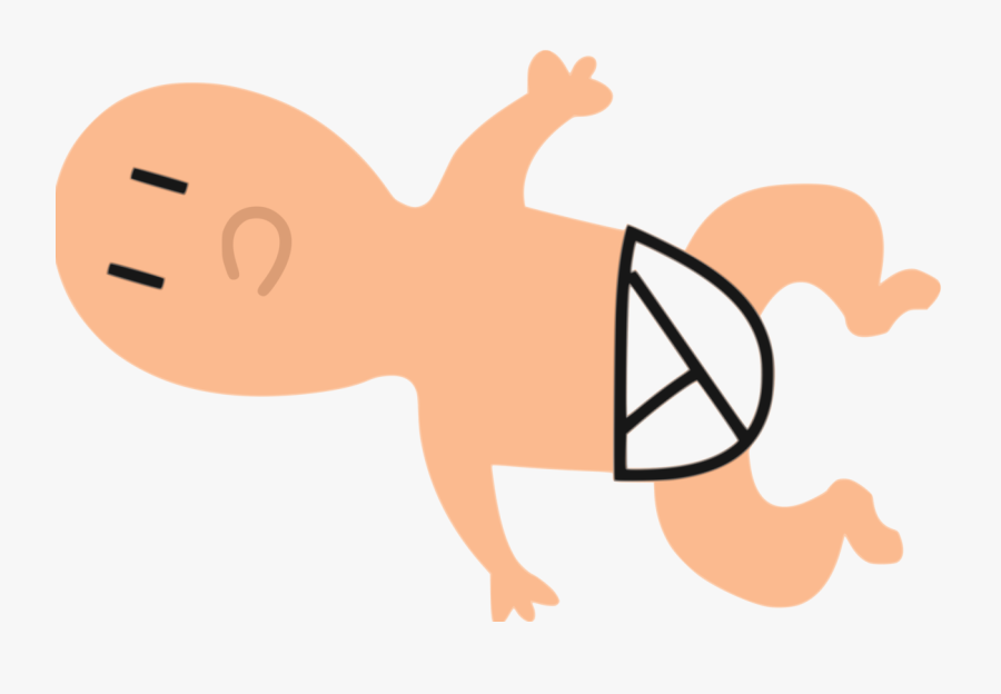 Snout,thumb,organ - Clip Art, Transparent Clipart