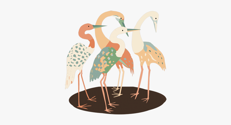 Illustration, Transparent Clipart