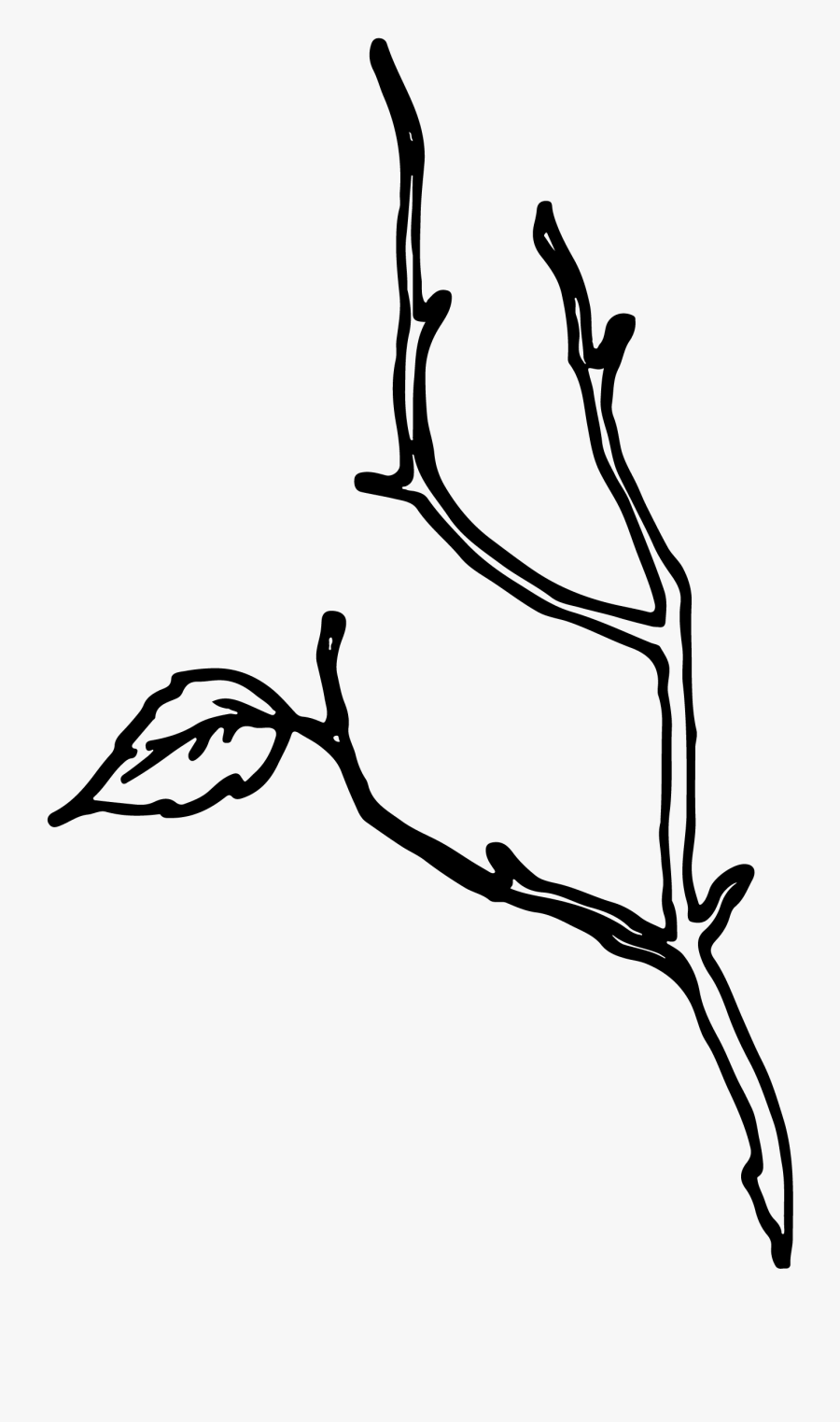 Christopher Ramos Floridatennesseecolorado Wedding - Sketch, Transparent Clipart