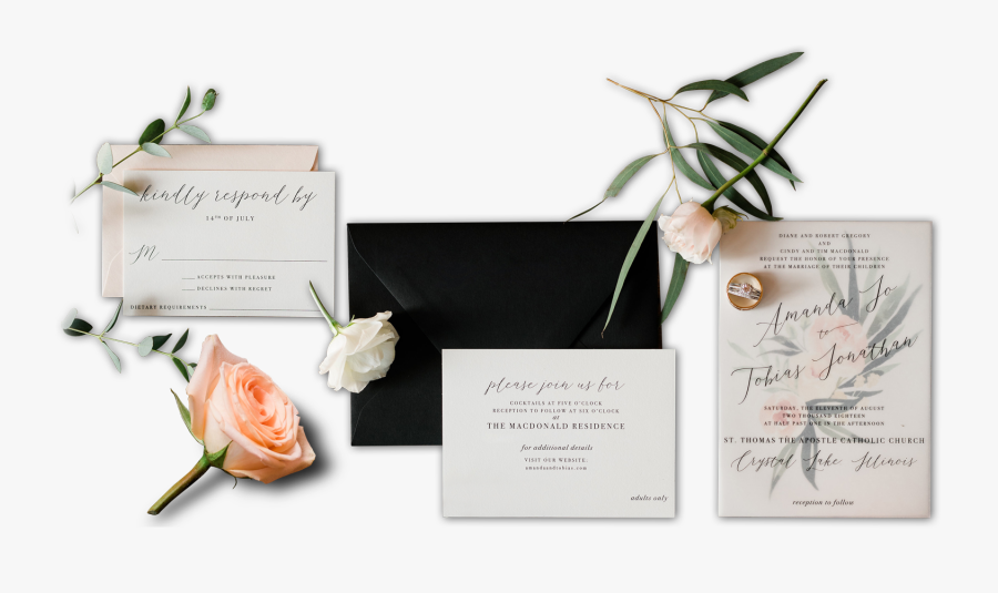 Garden Roses, Transparent Clipart